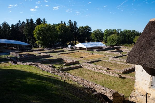 What's the Secret to Baking Light and Fluffy Angel Food Cake?