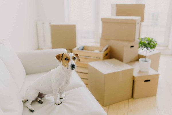 What are the Most Comfortable Heel Designs for Long Workdays?